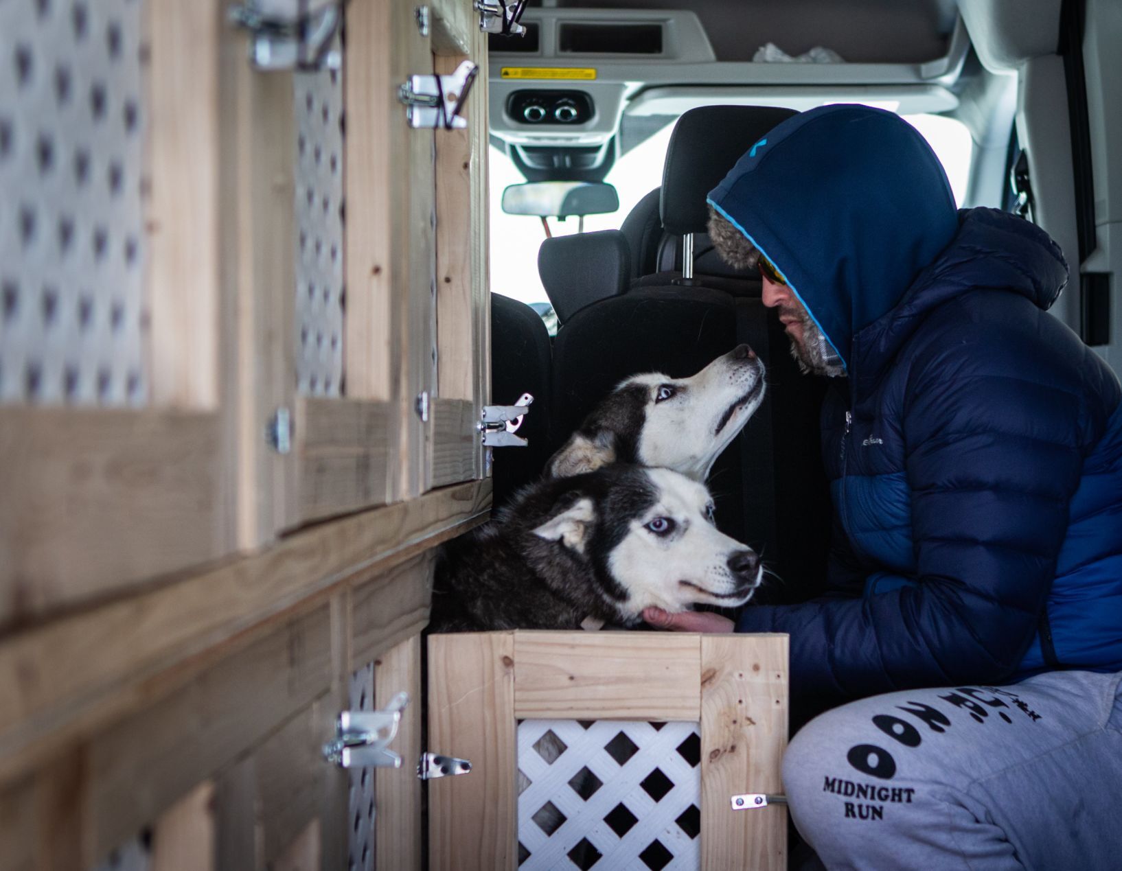 Snow treat for sled dog team